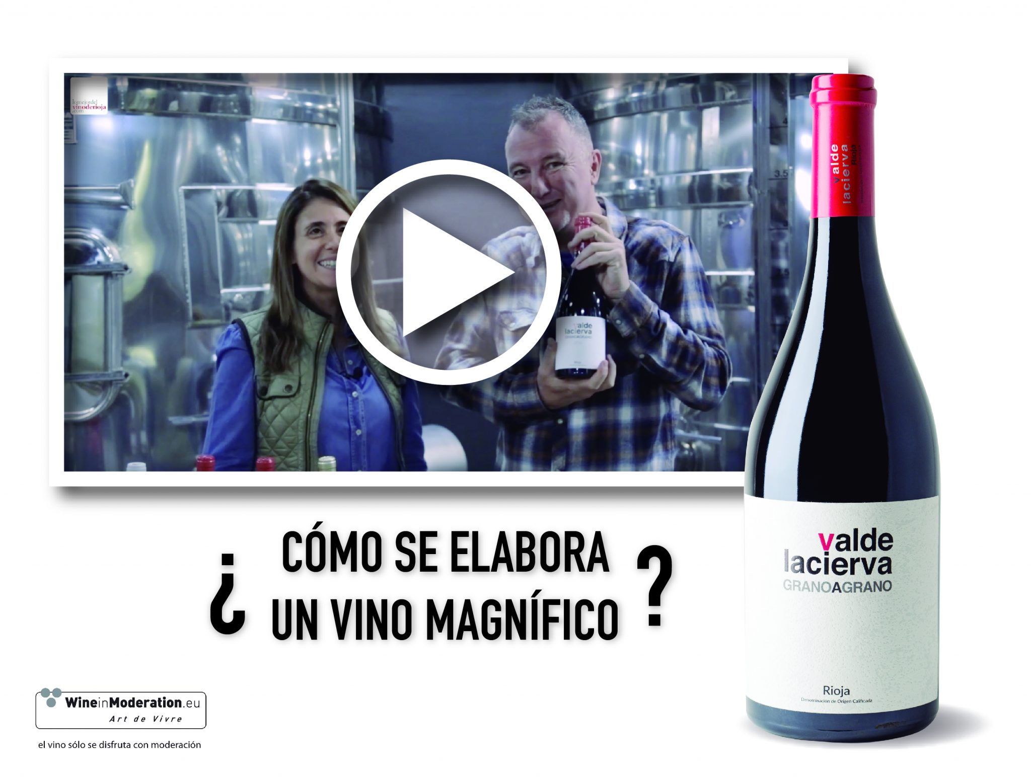 ¿cómo se elabora un vino Magnífico?