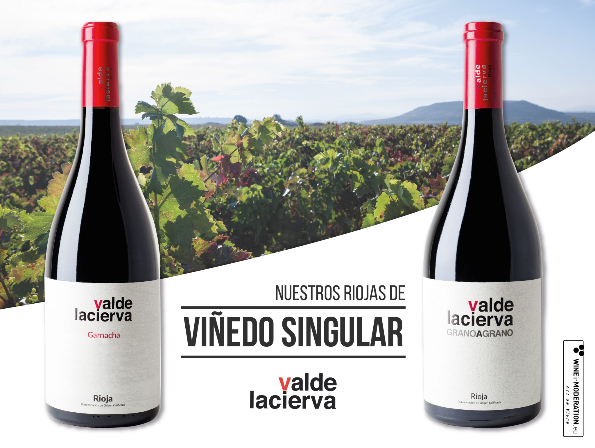Dos vinos de Valdelacierva son: Viñedo Singular