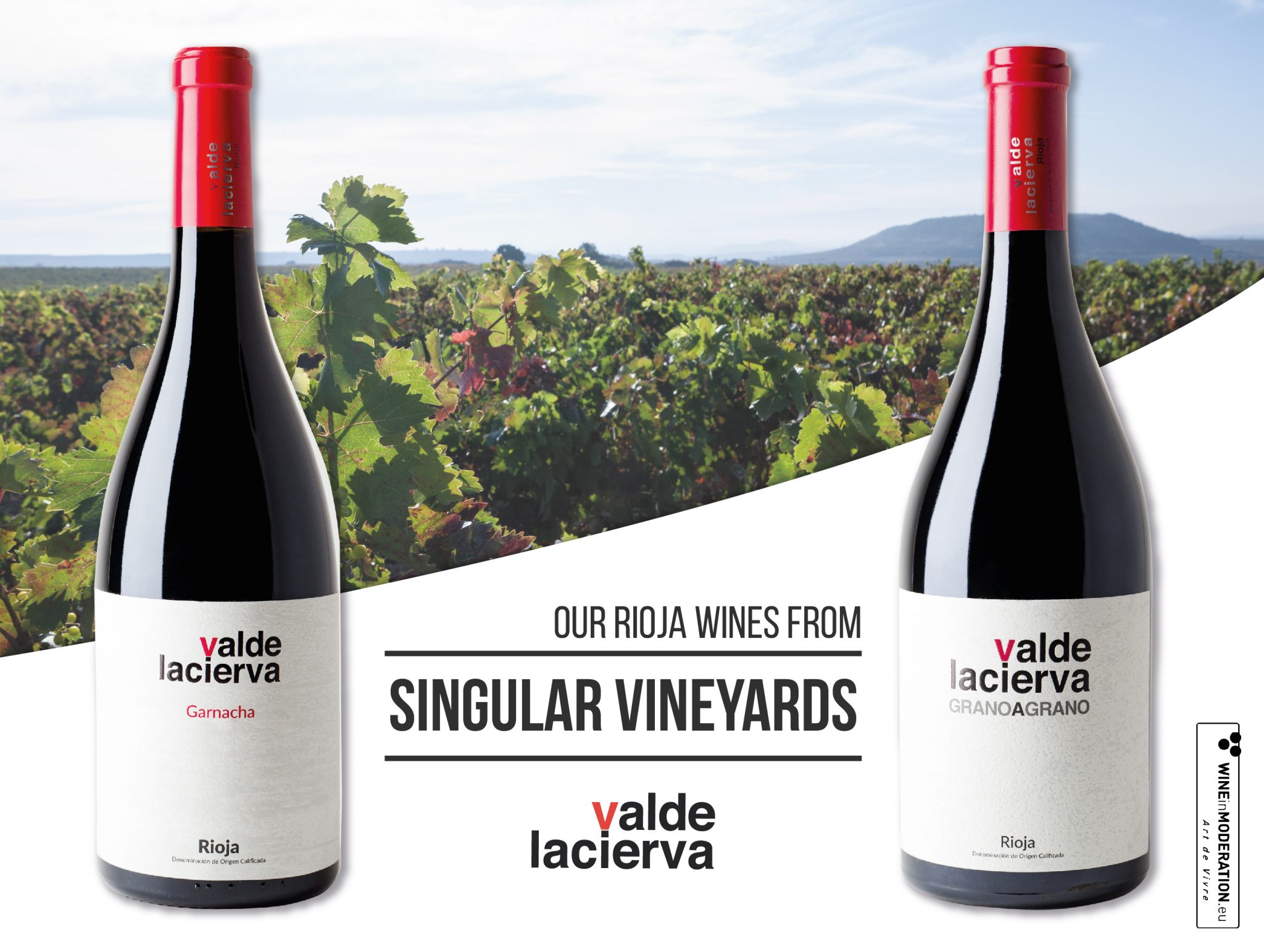 Valdelacierva Grano a Grano and Valdelacierva Garnacha, Singular Vineyard