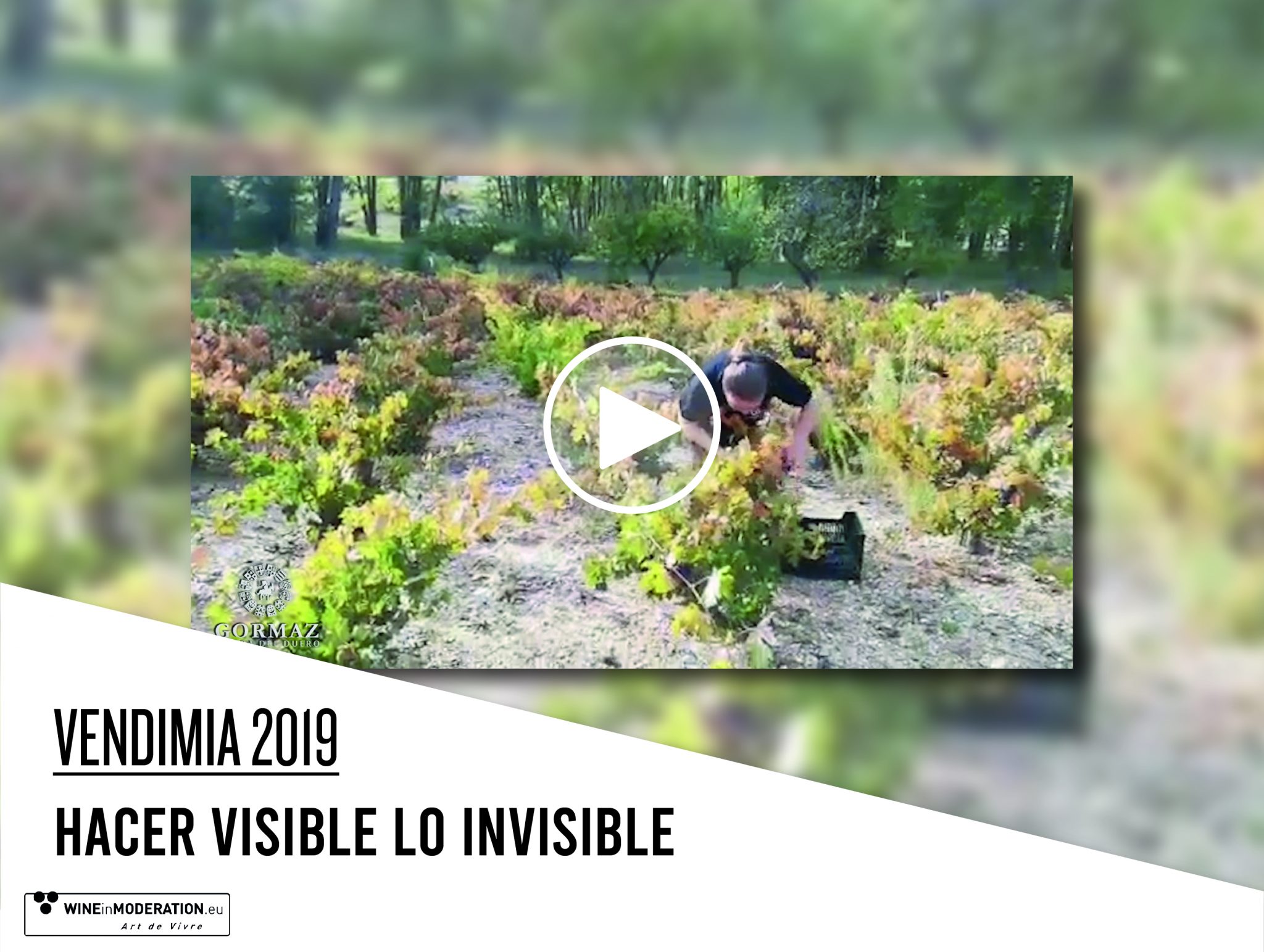 Hacer visible lo invisible: 12 Linajes Grano a Grano