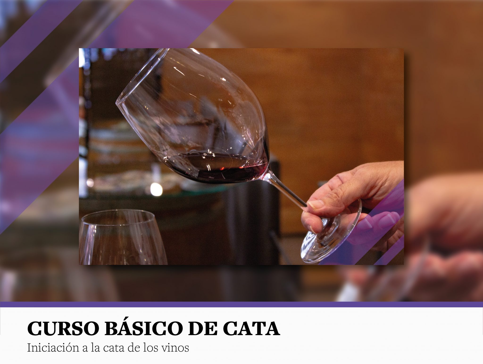 Curso básico de cata de vinos