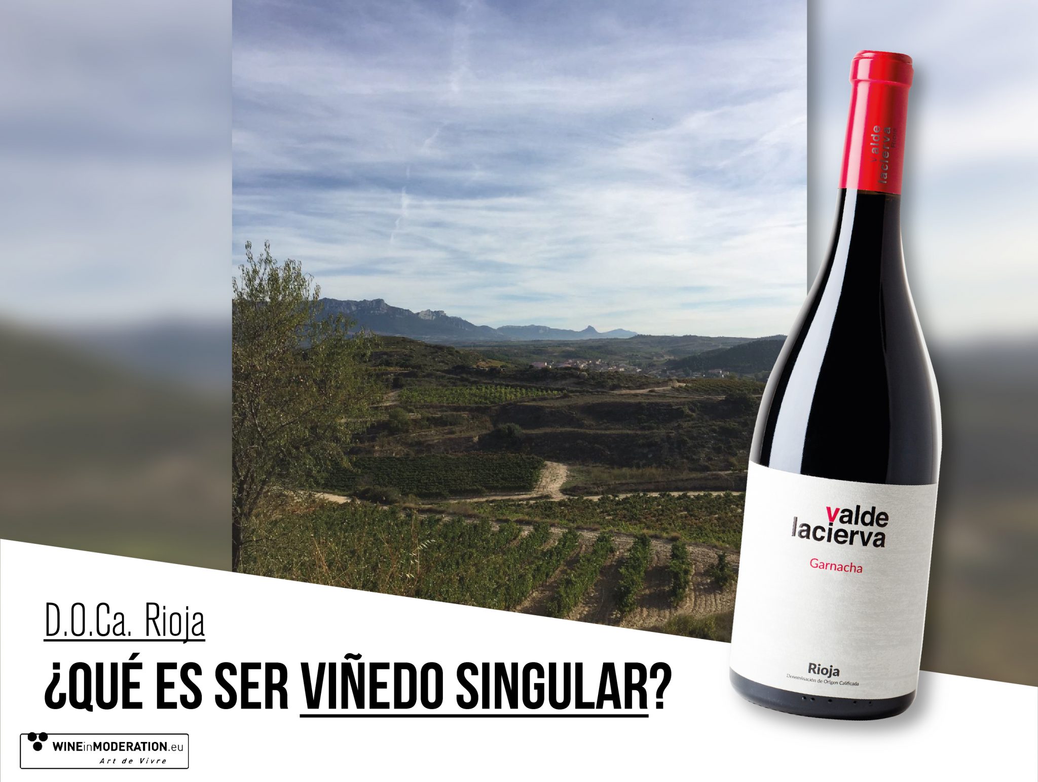 Vinos de viñedos singulares