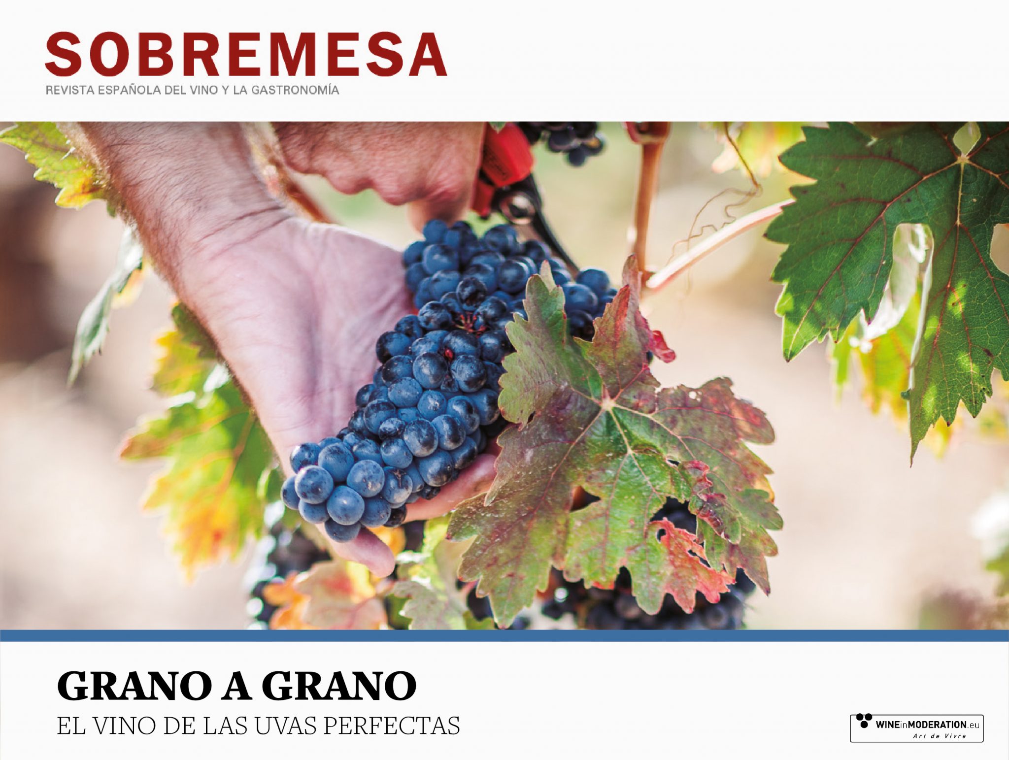 Mejores vinos Sorianos