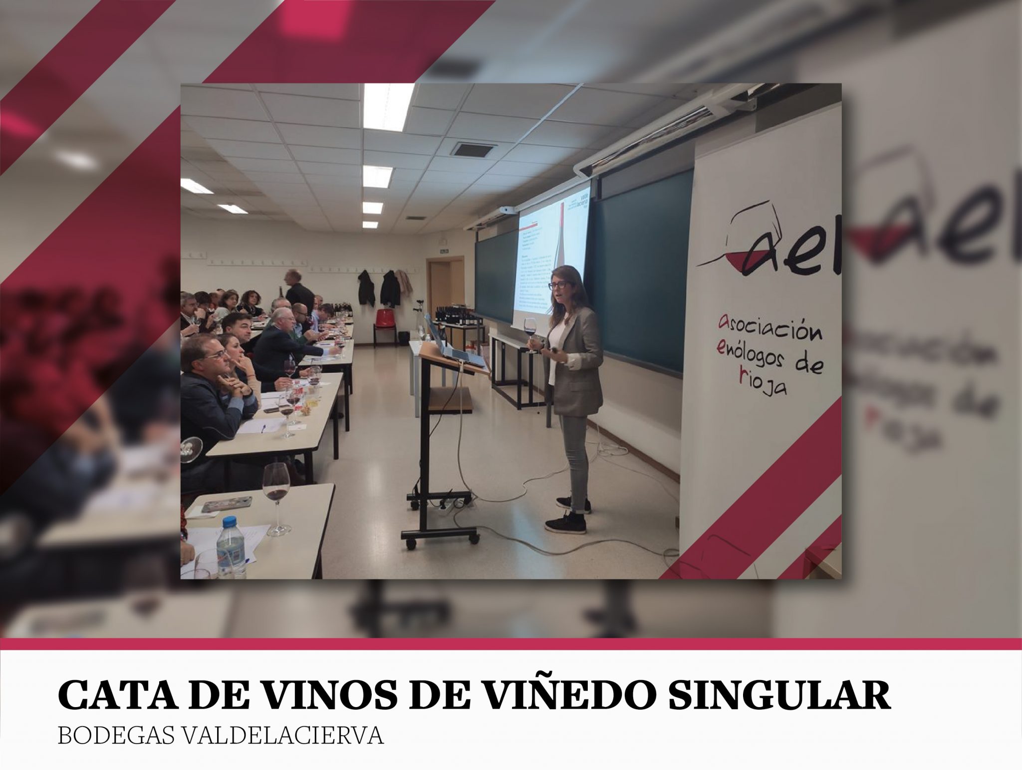 Bodegas Valdelacierva es viñedo singular