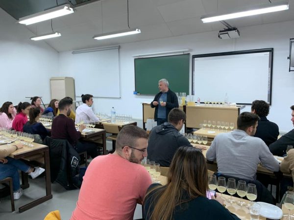 cata vinos rueda garcigrande universidad valladolid ruben sanz coca