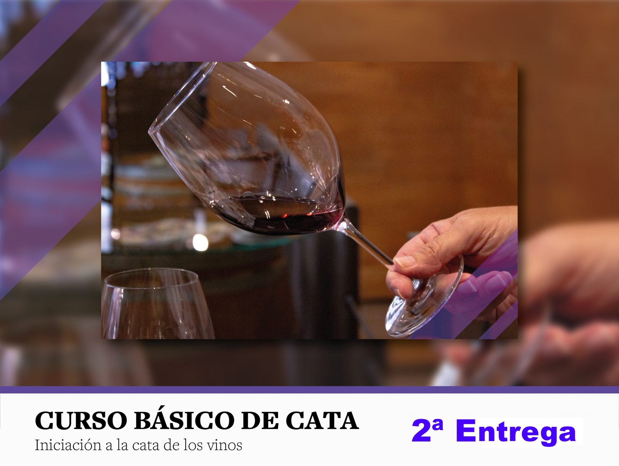 ¿Cómo se elabora un vino tinto? Segunda entrega