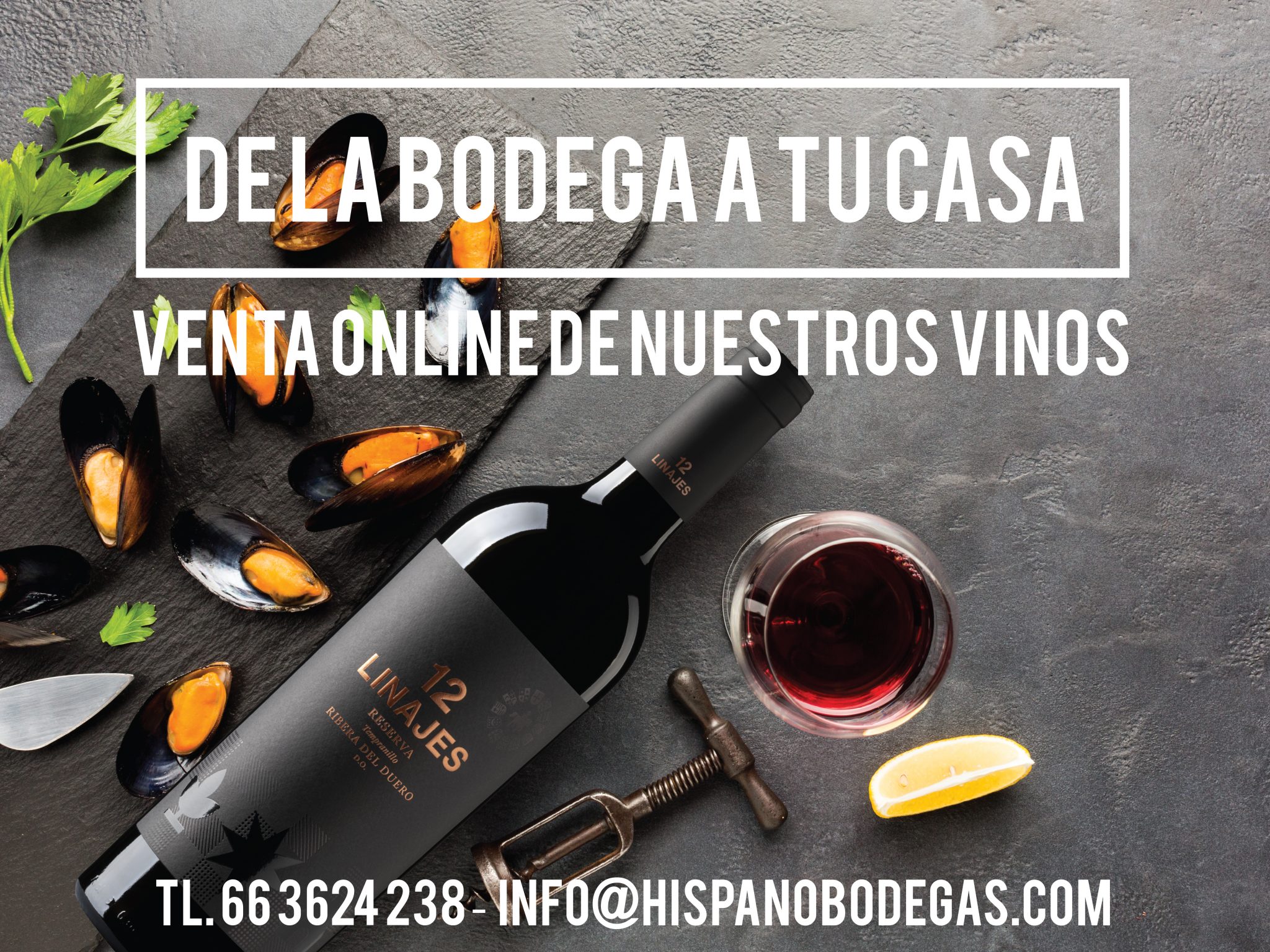 Compra tus lotes de vinos directos de bodega