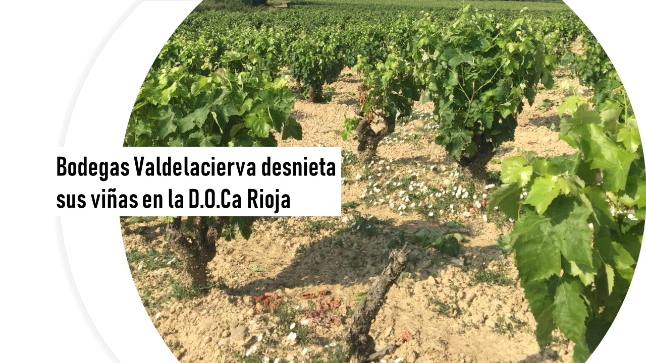 Bodegas Valdelacierva desnieta sus viñas en Rioja