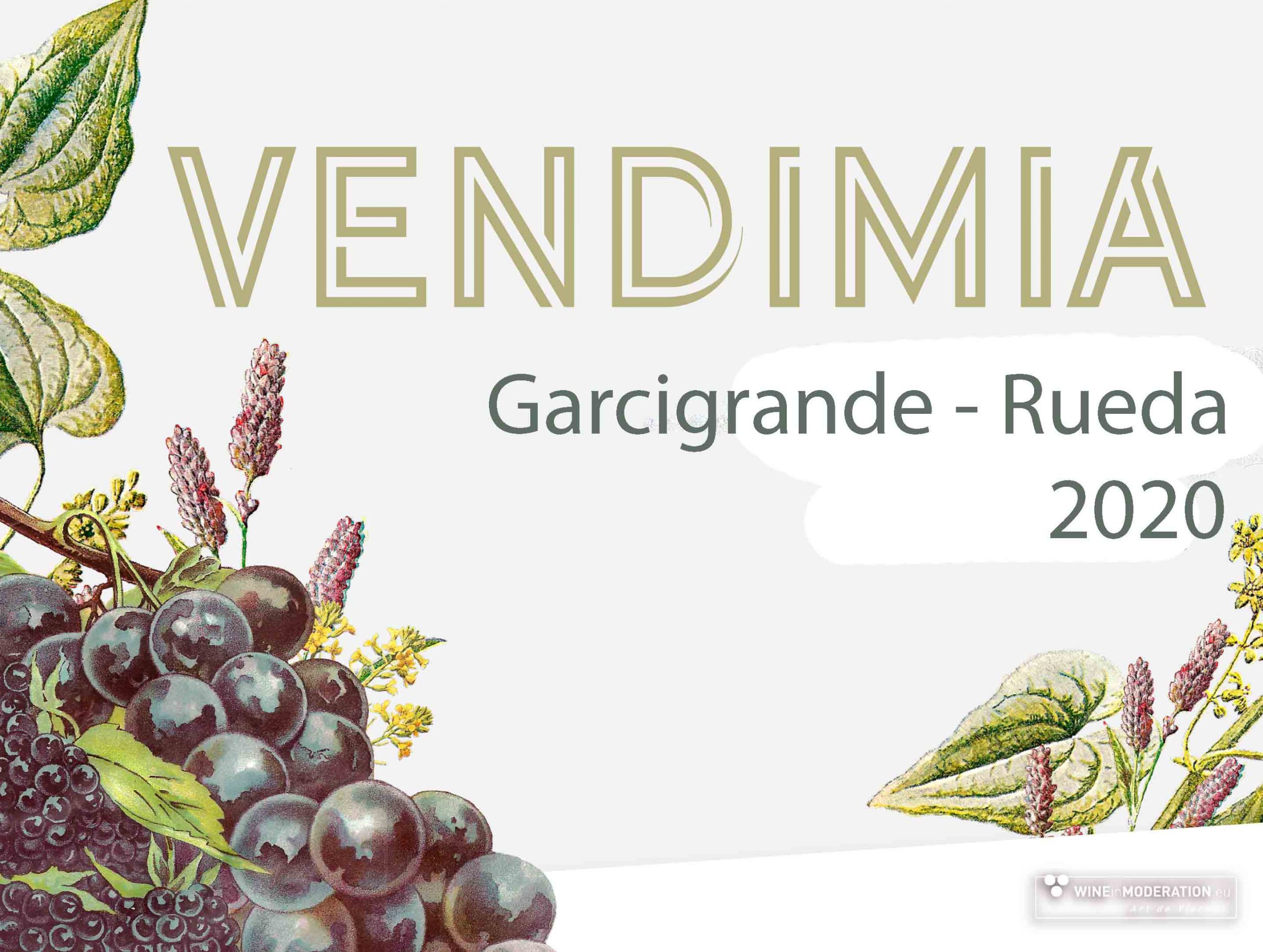 Vendimia 2020 – Rueda