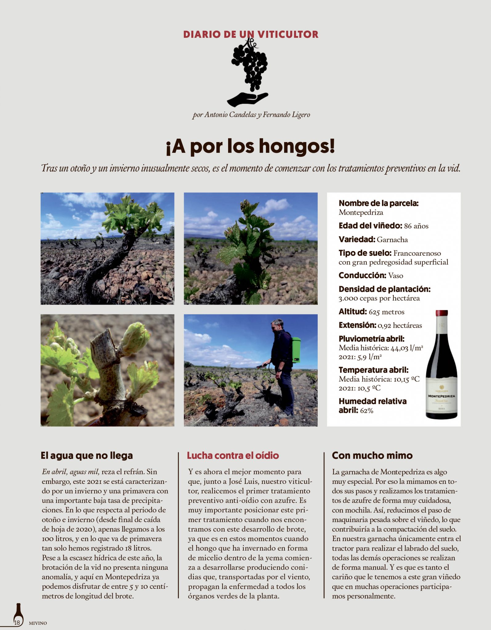 Finca Montepedriza valdelacierva viñedo único de rioja