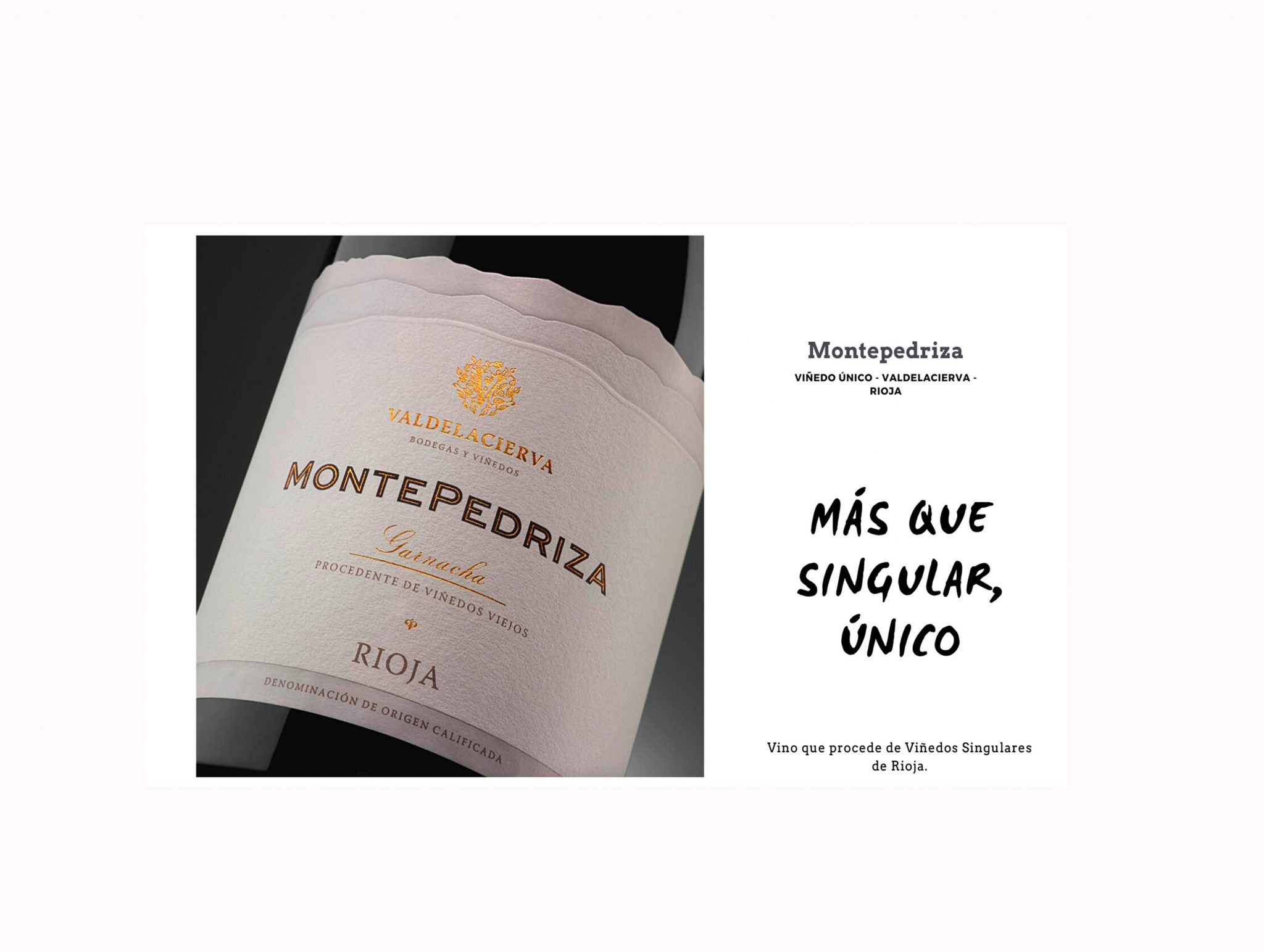 Montepedriza 2019